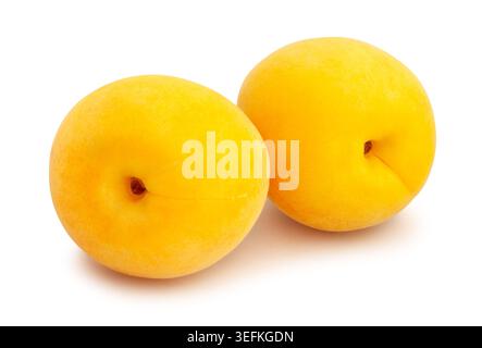 apricots path isolated on white Stock Photo