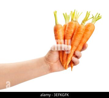 carrots in hand path isolated on white Stock Photo