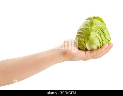 cabbage in hand path isolated on white Stock Photo