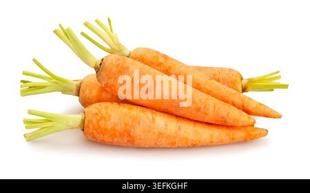 carrot path isolated on white Stock Photo