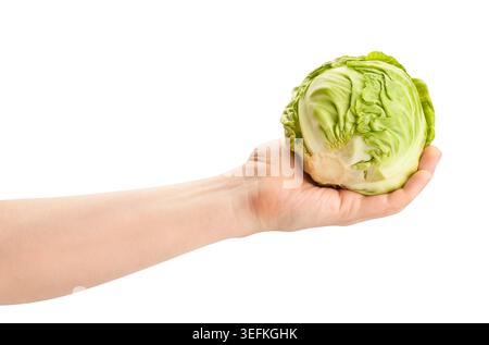 cabbage in hand path isolated on white Stock Photo
