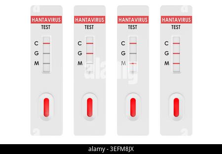 Hantavirus rapid test result cassettes. 3D rendering isolated on white background Stock Photo