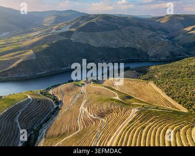 Drone photograph of patterned vineyard terraces above the Douro River in Portugal's Douro Valley under warm sunset light. Stock Photo