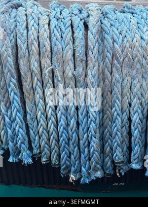 Maline Rope Close-up of blue mooring rope coiled and laid on white fiberglass boat ...