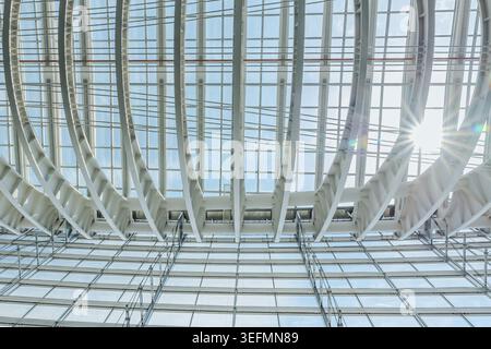 Looking up at modern glass roof skylight with white steel ribs, sun flare, geometric lines, minimal architectural interior background. Stock Photo