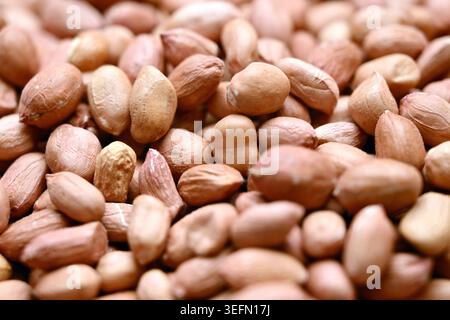 Peanuts Texture with Defocus Backgrounds Macro Photography Stock Photo
