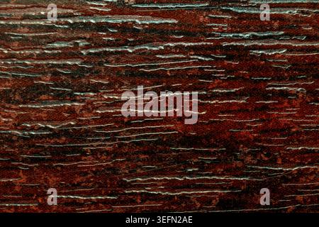 Dark brown wooden texture with natural grain and weathered surface details Stock Photo