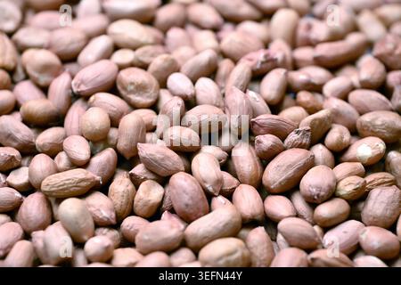 Peanuts Texture with Defocus Backgrounds Macro Photography Stock Photo
