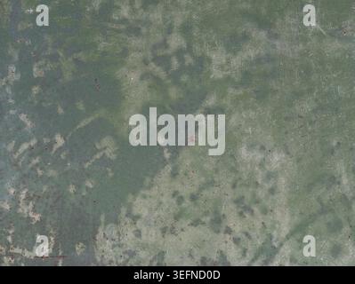 Rusty metal texture. Rusty painted metal surface texture. Rusted background Stock Photo