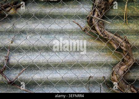 weathered metal fence with old wood and corrugated fiberglass roofing panel texture background Stock Photo