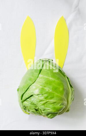 Green cabbage on a white background with two yellow paper elements resembling rabbit ears. A playful and creative composition combines the vegetable w Stock Photo