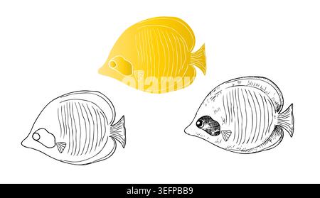 Vector Butterflyfishes set. Graphic tropical fish hand drawn illustration isolated on background. Zero waste, sustainable living concept. For designer Stock Vector