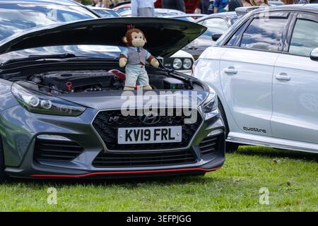 A Hyundai i30 N high-performance hot hatchback on display with its hood open and a plush toy monkey prop sitting on the engine block. Stock Photo
