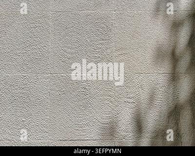 Textured gray concrete wall with soft diagonal shadow, minimalist urban background with rough surface, neutral tones and copy space Stock Photo