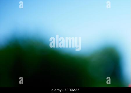 An abstract bokeh background displaying a soft, horizontal gradient transition from deep green natural foliage to a pale blue Mediterranean sky. Stock Photo