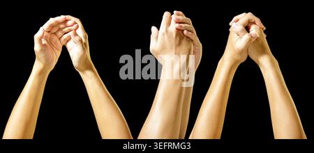 Three pairs of hands reaching up in unity. Hand Gestures. Business and Education Concept. Isolated Background. High quality photo Stock Photo