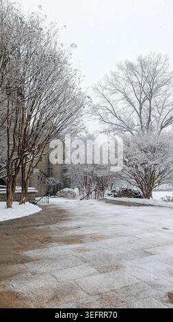 Cleared stone patio courtyard surrounded by snow-covered trees in winter. Stock Photo