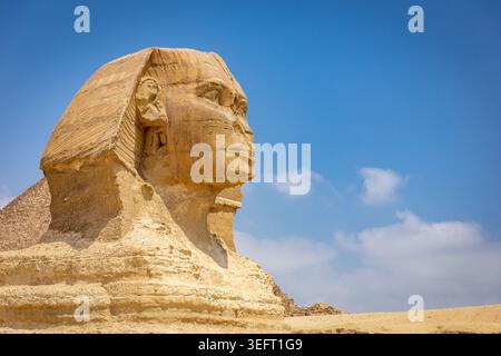 Great Sphinx of Giza on Giza Plateau, Egypt, creature with the head of a human and the body of a lion, monumental limestone statue, close-up head. Stock Photo