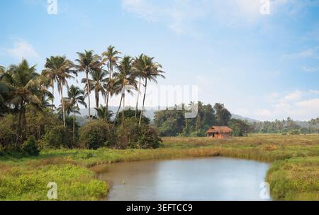 Rural landscape with pond and coconut palms at sunset in South Goa, India Stock Photo