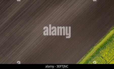 A minimalist top-down aerial drone photograph featuring a strong diagonal composition of dark, freshly plowed agricultural soil. A vibrant green grass Stock Photo