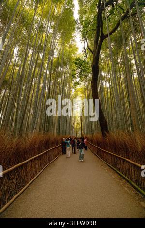 Visitors walking through the Arashiyama Bamboo Grove in Kyoto, Japan. Stock Photo