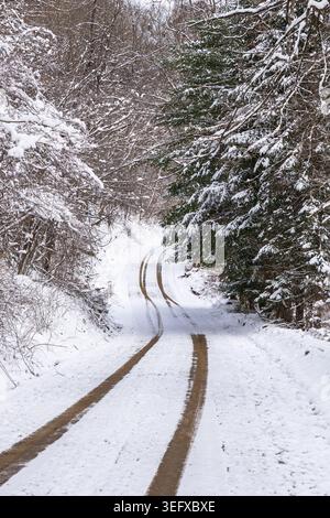 Tire tracks winding along a snow-covered rural dirt road through a quiet winter forest landscape in Warren County, Pennsylvania, USA Stock Photo