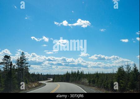 Winding Two-Lane Highway Through an Evergreen Forest under a Blue Sky Stock Photo