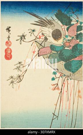 Sparrow on a Hanging Planter by Utagawa Hiroshige, n.d., depicting a small bird perched among morning glory vines and foliage with delicate botanical detail Stock Photo