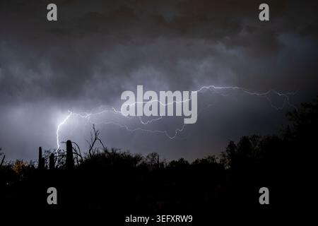Lightning lights up the night sky in the desert Stock Photo