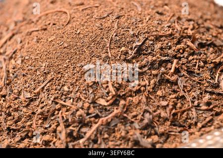 Tea Powder Mixture Texture Backgrounds Macro Beverage Photography Stock Photo