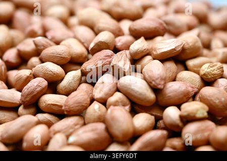 Peanuts Texture with Defocus Backgrounds Macro Photography Stock Photo