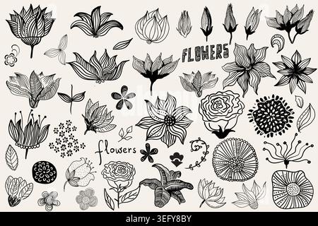 Set of flowers, leaves. Doodles. Handmade decorative elements. Vector illustration Stock Vector