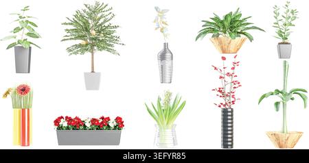 3d illustration of tropical  Aloe vera,Musa basjoo,Orange treeZamiokulkas in pot plants on white background Stock Vector