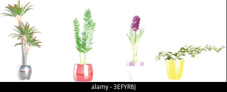 Collage with different potted Hyacinth,Fern,cycas revoluta plants on white background. House decor Stock Vector