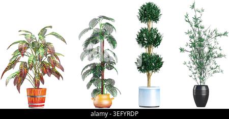 3d illustration Swiss cheese,Garden crotonBAMBOO TREES, plants in a pot Stock Vector