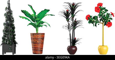 Plant in pot.Dracaena,Wreaths Christmas Tree,Hibiscus plants isolated on white background . PNG file with transparent background also available Stock Vector