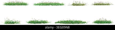 Grass isolated on white background, vector illustration Stock Vector