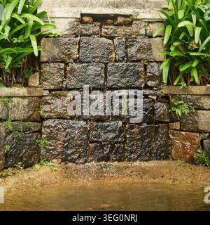 wet stone block wall water fountain, stream with lush green leafy plants on edges, closeup view with copy space and soft focus, landscaping design Stock Photo