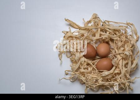 Three brown eggs nestled in a rustic, handmade straw nest on a clean white surface. Stock Photo