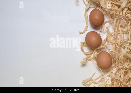 Three brown eggs placed on the right side against a white background with decorative straw Stock Photo
