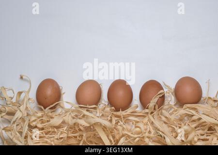 Five brown eggs arranged in a row over a bed of decorative straw on a white background. Stock Photo