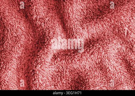 Close up, macro of crumpled red terry towel fabric with wrinkles and soft waves. Fluffy microfiber texture with dense fibers, textile, material struct Stock Photo