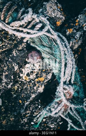 Decaying old rope washed up on the rocky shoreline at Stackpole Quay, Pembrokeshire. Stock Photo