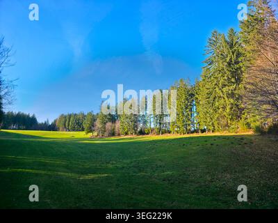 Germany, Black Forest green pastures at forest edge with sunshine and panoramic mountain landscape Stock Photo