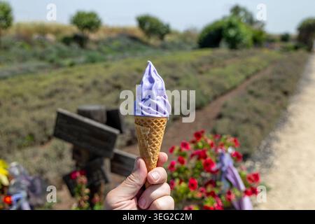 A close up shot of a person's hand holding a melting purple lavender flavored soft serve ice cream in a waffle cone at a sunny agricultural lavender plantation farm attraction in Israel Stock Photo