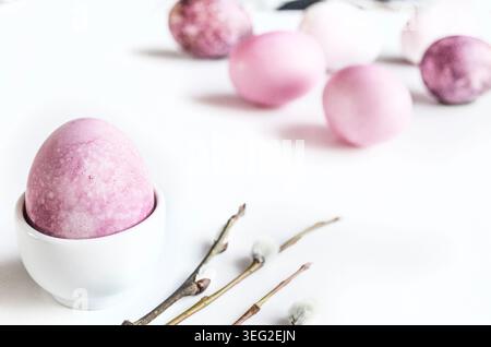 Soft pastel Easter eggs arranged on a bright white background, one in an egg cup with spring branches. Stock Photo