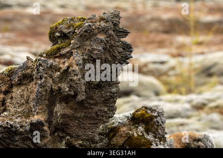 Detail of lava rock in Eldhraun, a vast, moss-covered lava field in southern Iceland, Europe, one of the largest lava fields in the world Stock Photo