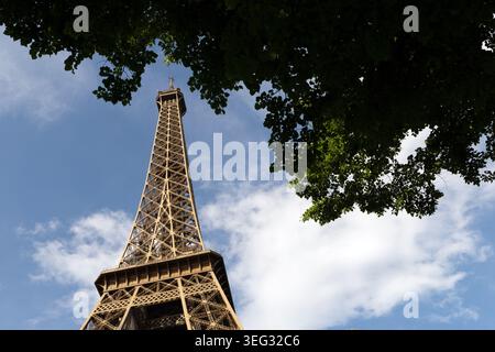 Eiffel Tower seen through trees from below the tower on the Champ de Mars side in Paris, France. Stock Photo