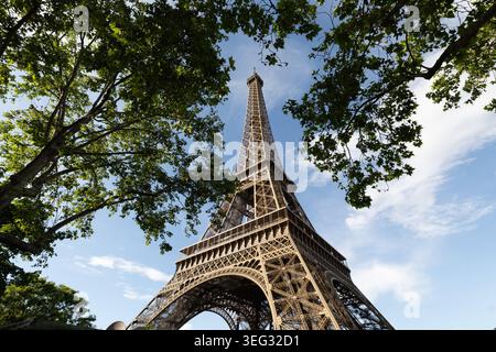Eiffel Tower seen through trees from below the tower on the Champ de Mars side in Paris, France. Stock Photo