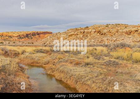 Water flows gently through dry grass along a stream bed, with rugged rocky hills rising in the background under a cloudy sky. Stock Photo